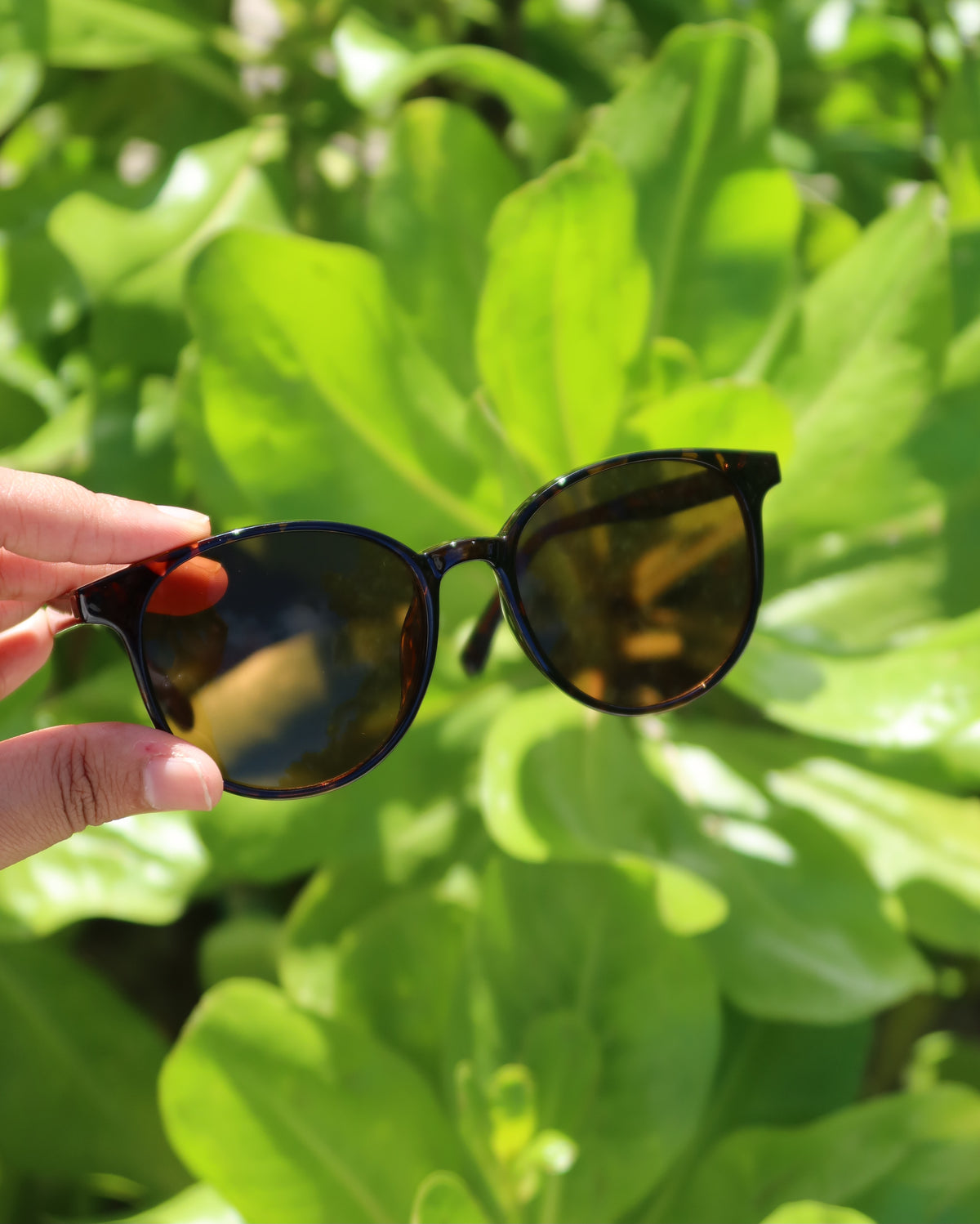 WOMEN'S UV PROTECTION TR90